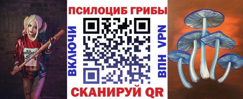 Псилоцибиновые грибы Psilocybe  цена   Краснокаменск 