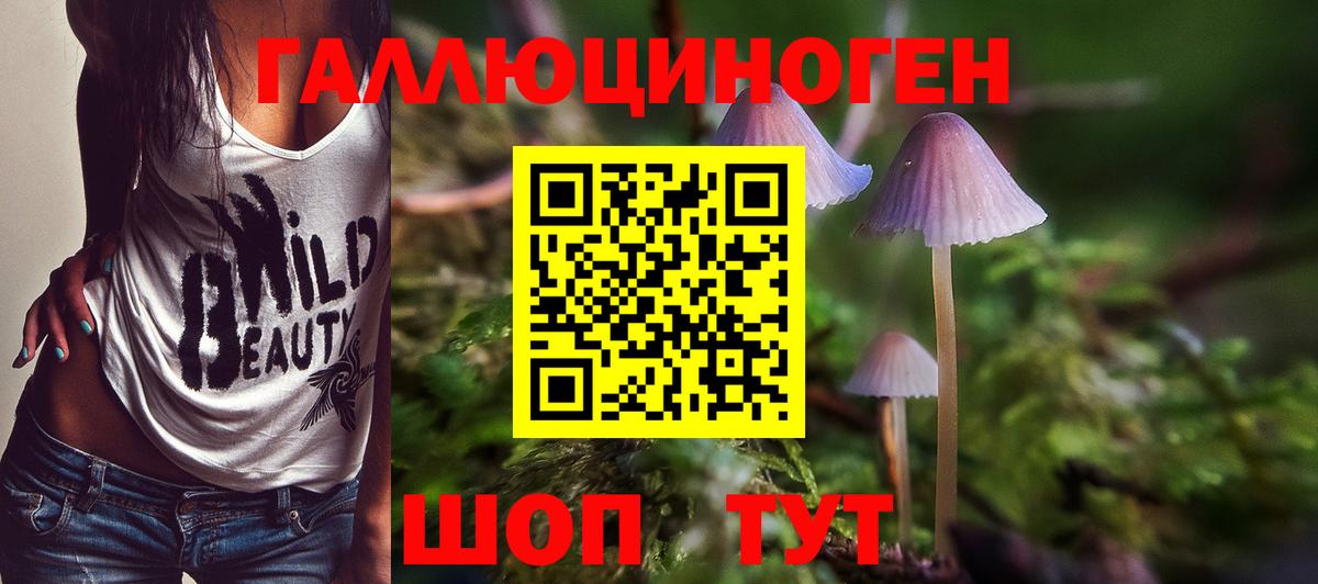 Псилоцибиновые грибы Magic Shrooms  Вход с VPN  Краснокаменск 